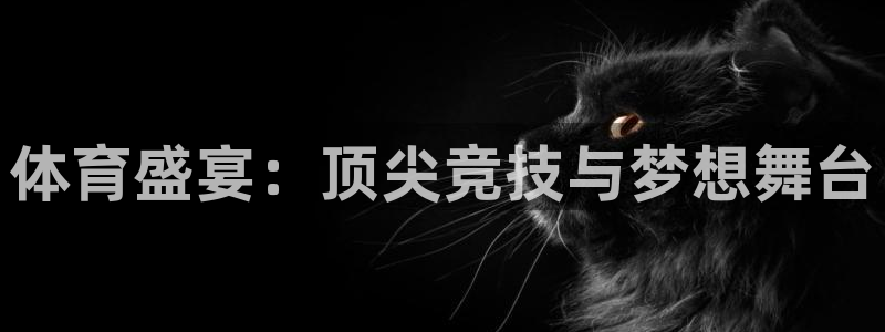 体育盛宴：顶尖竞技与梦想舞台