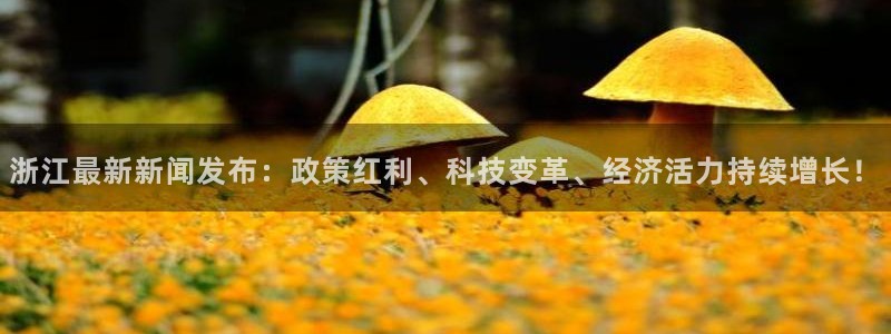浙江最新新闻发布：政策红利、科技变革、经济活力持续增长！