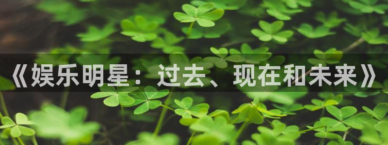 《娱乐明星：过去、现在和未来》