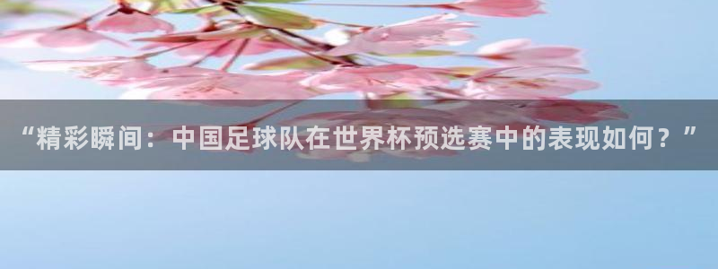 “精彩瞬间：中国足球队在世界杯预选赛中的表现如何？”