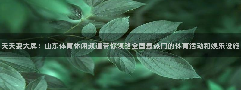 天天耍大牌：山东体育休闲频道带你领略全国最热门的体育活动和娱乐设施