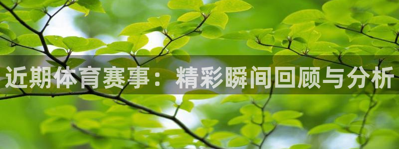 近期体育赛事：精彩瞬间回顾与分析