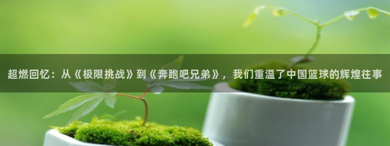 超燃回忆：从《极限挑战》到《奔跑吧兄弟》，我们重温了中国篮球的辉煌往事
