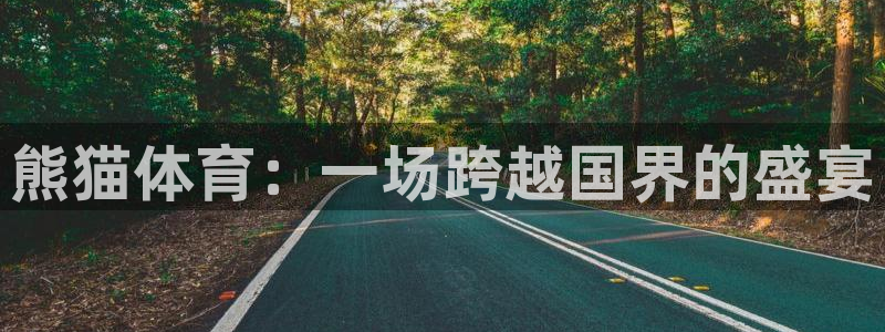 熊猫体育：一场跨越国界的盛宴