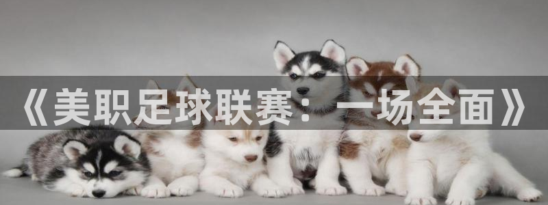 《美职足球联赛：一场全面》