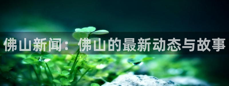 佛山新闻：佛山的最新动态与故事