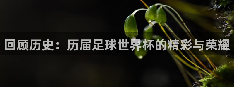 回顾历史：历届足球世界杯的精彩与荣耀