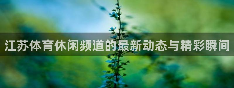 江苏体育休闲频道的最新动态与精彩瞬间