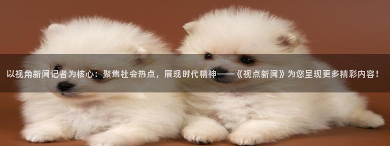 以视角新闻记者为核心：聚焦社会热点，展现时代精神——《视点新闻》为您呈现更多精彩内容！