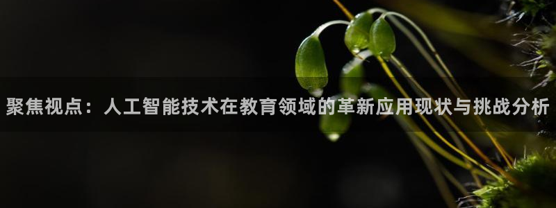 聚焦视点：人工智能技术在教育领域的革新应用现状与挑战分析