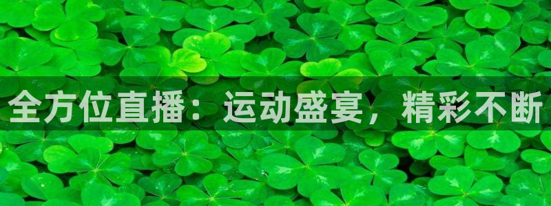 全方位直播：运动盛宴，精彩不断