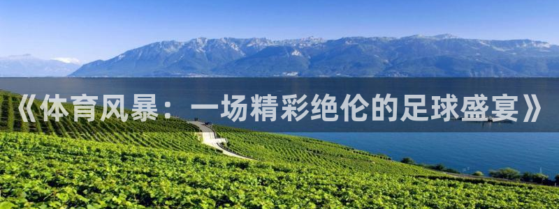 《体育风暴：一场精彩绝伦的足球盛宴》