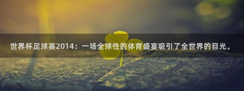 世界杯足球赛2014：一场全球性的体育盛宴吸引了全世界的目光。