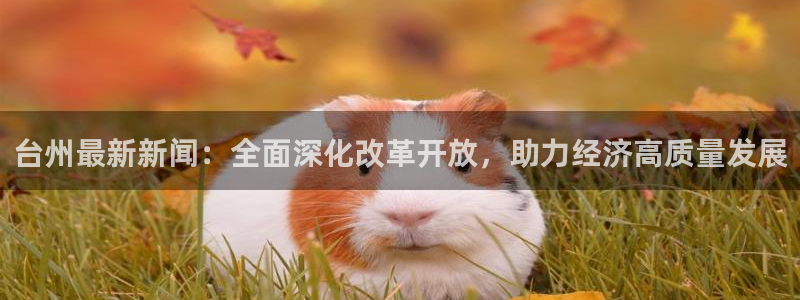 台州最新新闻：全面深化改革开放，助力经济高质量发展