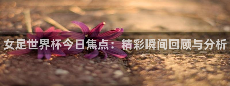 女足世界杯今日焦点：精彩瞬间回顾与分析