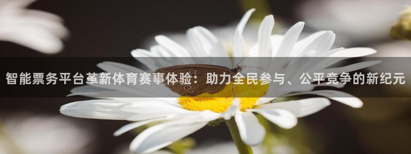 智能票务平台革新体育赛事体验：助力全民参与、公平竞争的新纪元