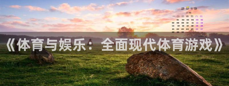 《体育与娱乐：全面现代体育游戏》