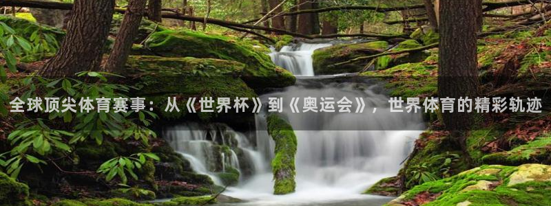 全球顶尖体育赛事：从《世界杯》到《奥运会》，世界体育的精彩轨迹
