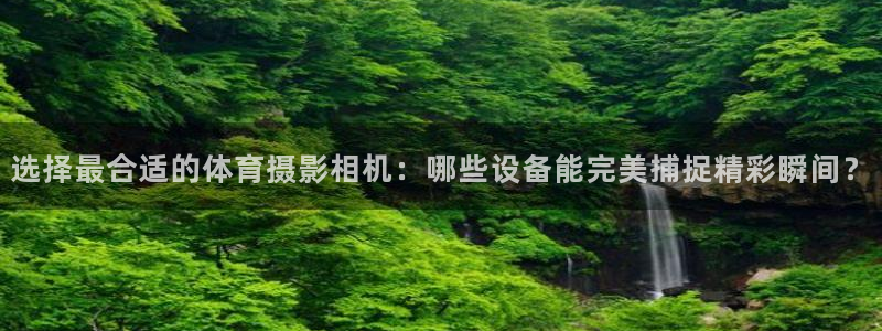 选择最合适的体育摄影相机：哪些设备能完美捕捉精彩瞬间？
