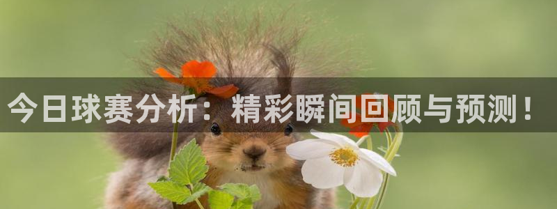今日球赛分析：精彩瞬间回顾与预测！