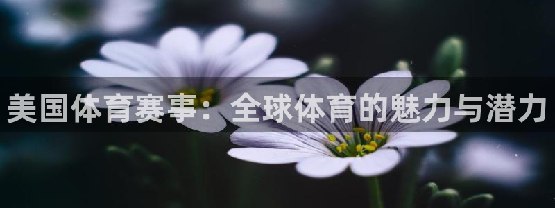 美国体育赛事：全球体育的魅力与潜力