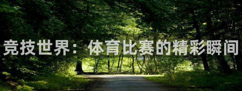 竞技世界：体育比赛的精彩瞬间