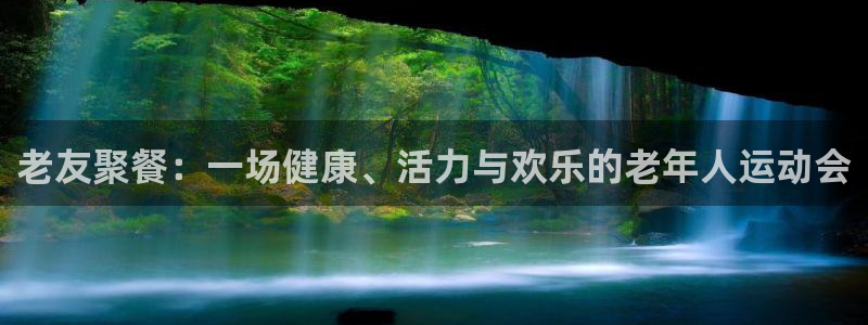 老友聚餐：一场健康、活力与欢乐的老年人运动会