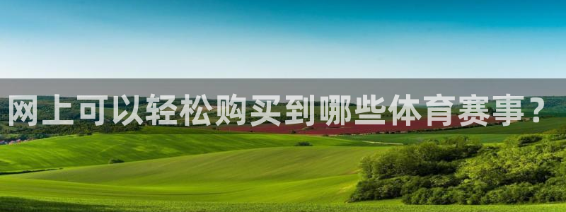 网上可以轻松购买到哪些体育赛事？
