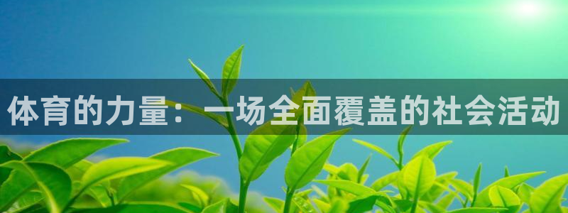 体育的力量：一场全面覆盖的社会活动