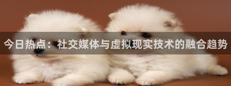 今日热点：社交媒体与虚拟现实技术的融合趋势