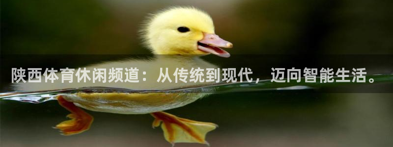 陕西体育休闲频道：从传统到现代，迈向智能生活。