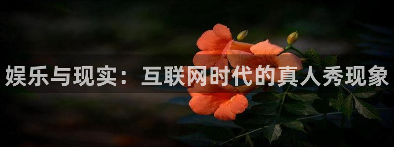 娱乐与现实：互联网时代的真人秀现象