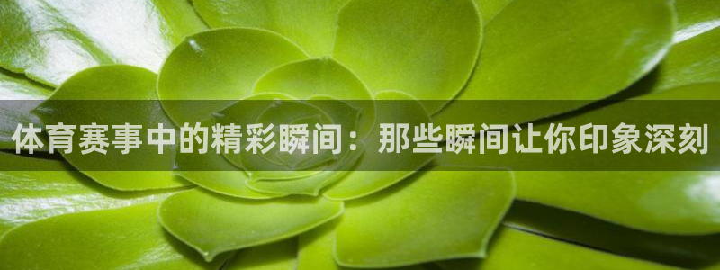 体育赛事中的精彩瞬间：那些瞬间让你印象深刻