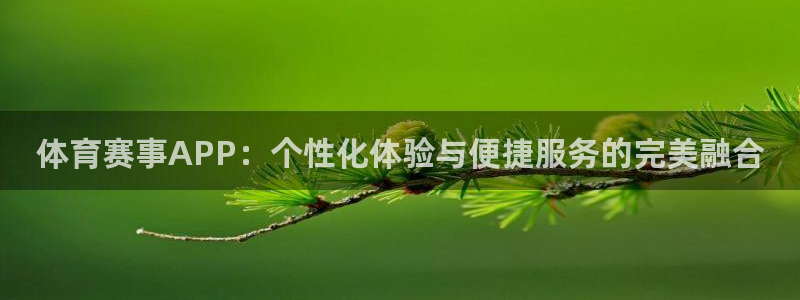体育赛事APP：个性化体验与便捷服务的完美融合