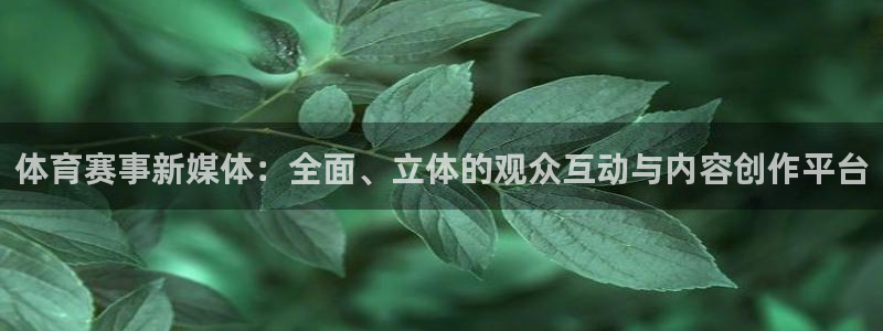 体育赛事新媒体：全面、立体的观众互动与内容创作平台