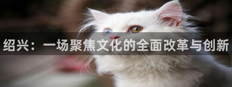 绍兴：一场聚焦文化的全面改革与创新