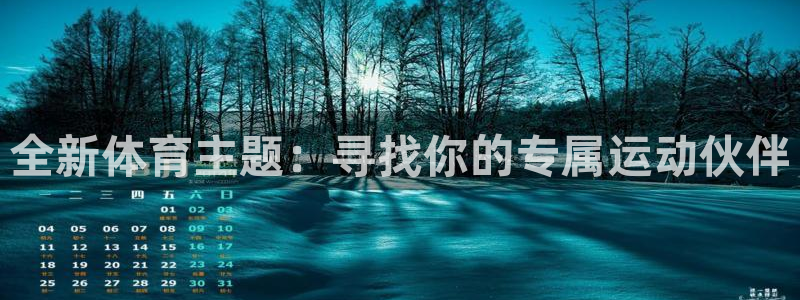 全新体育主题：寻找你的专属运动伙伴