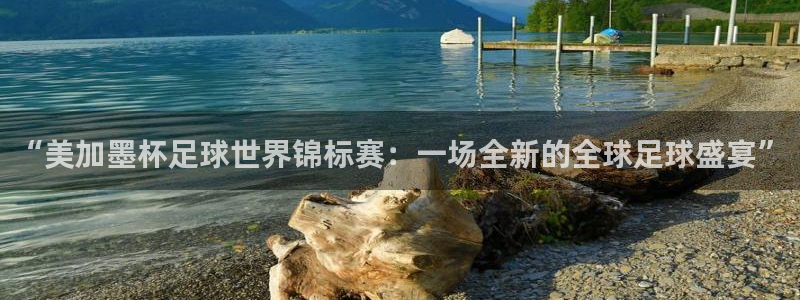 “美加墨杯足球世界锦标赛：一场全新的全球足球盛宴”