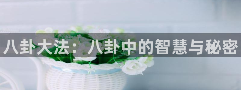 八卦大法：八卦中的智慧与秘密