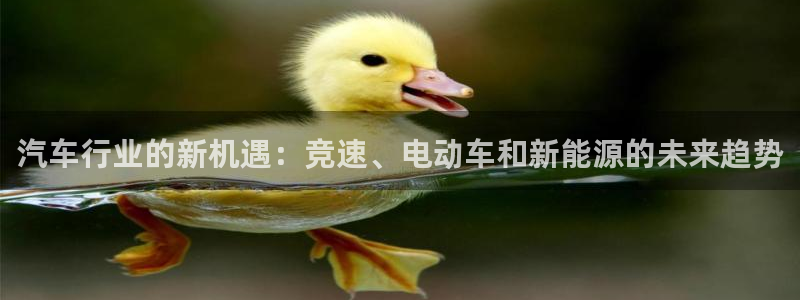 汽车行业的新机遇：竞速、电动车和新能源的未来趋势