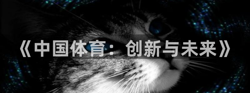 《中国体育：创新与未来》