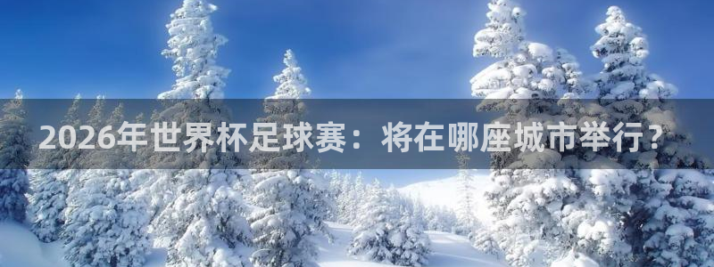 2026年世界杯足球赛：将在哪座城市举行？