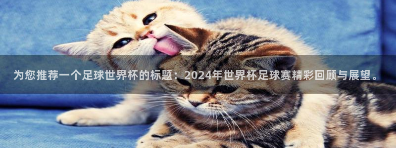为您推荐一个足球世界杯的标题：2024年世界杯足球赛精彩回顾与展望。