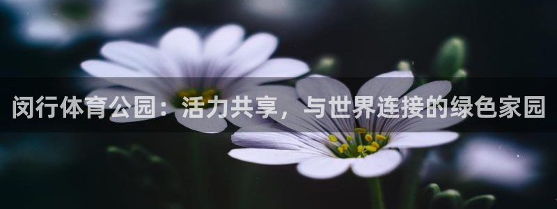 闵行体育公园：活力共享，与世界连接的绿色家园